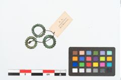 Foto von Bronzering (NHMW-PRAE-025926)